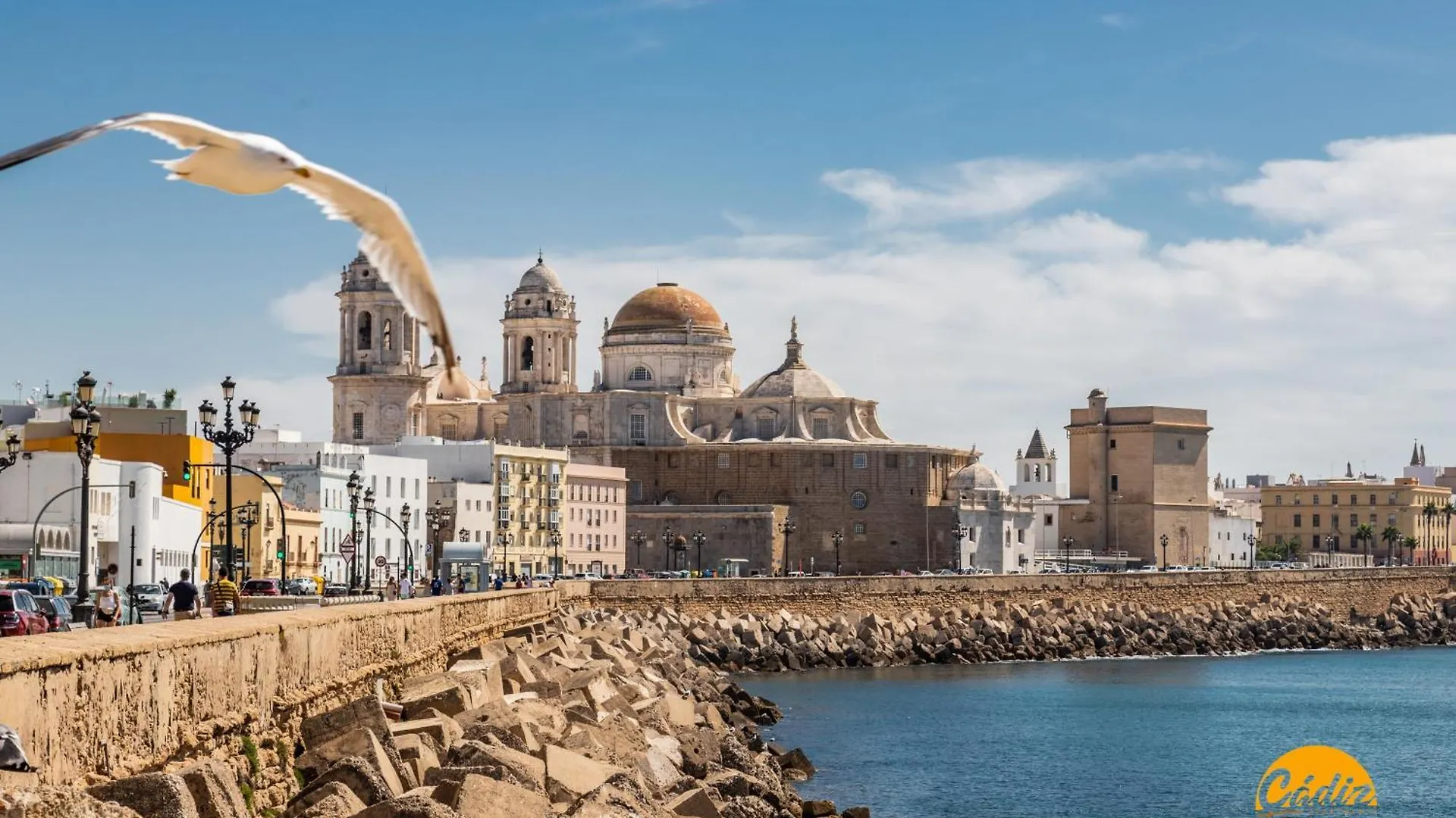 Flamenco Centro By Cadiz Time Apartment